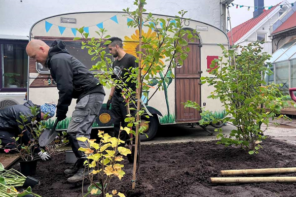 Fra overvann til urban mat